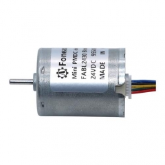 BL2430 B2430M 24mm diámetro rotor interno BLDC sin escobillas dc motor