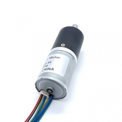 FAPG24-BL2430 Motor eléctrico de CC con reductor planetario de metal pequeño de 24 mm