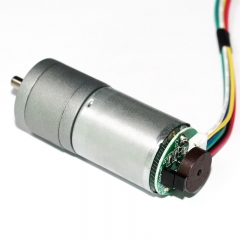 FAGM25-370 Motor eléctrico de CC con reductor de dientes rectos pequeños de 25 mm